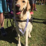 Paws for Thought – But not When I’m Running!