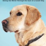 Paws for Thought: My Brand New Book Cover!