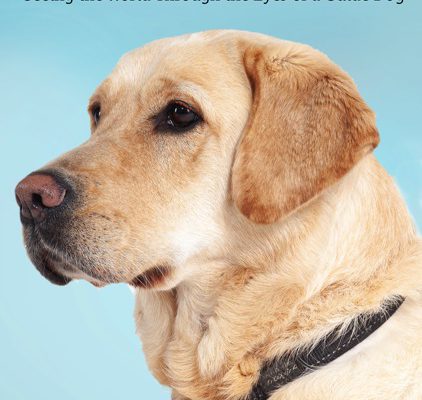 Paws for thought book cover