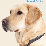 A Sneak Peek at Paws for Thought