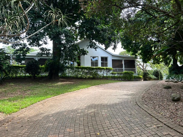 Sylvan Woods:a single-story white house surrounded by trees and gardens.  
The house has a light-colored roof and several large rectangular windows across the front, some with dark screens or blinds.  
A covered porch runs along part of the front, with white railings and steps up from the right side.  
In front of the house there is a neat hedge and some medium-height bushes, with a large tree trunk and its canopy spreading over much of the yard.  
A wide paved driveway curves gently from the bottom of the image up to the right side of the house, made of small square bricks laid in a grid pattern.  
On the left side of the driveway there is a grassy lawn; on the right side there is a strip of small stones or gravel with several larger rocks placed on it and some leafy plants.  
Tall, dense trees frame the scene on both sides, creating a shaded, private feel around the house.