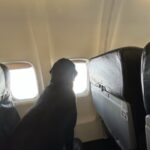 The Durban Diaries: Normandy Takes to the Air